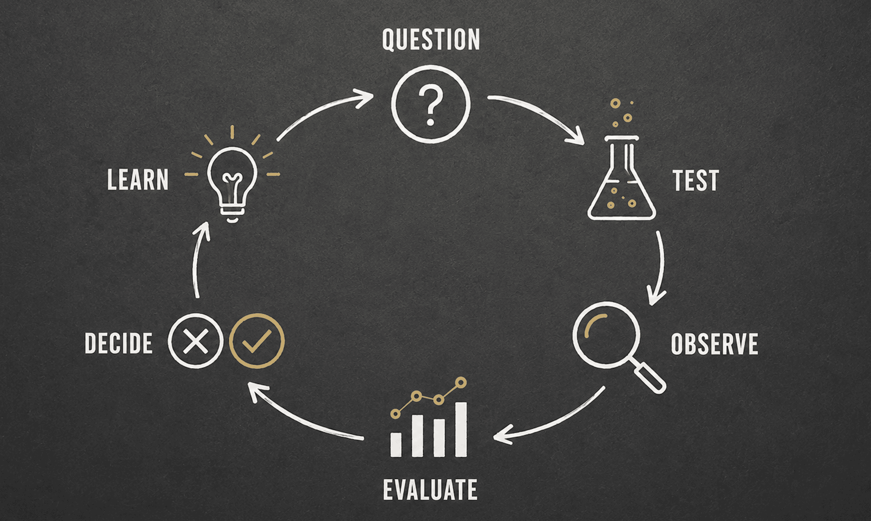 A cyclical diagram — Question, Test, Observe, Evaluate, Decide, Learn — arranged in a loop, illustrating the Laboratory's testing cycle.
